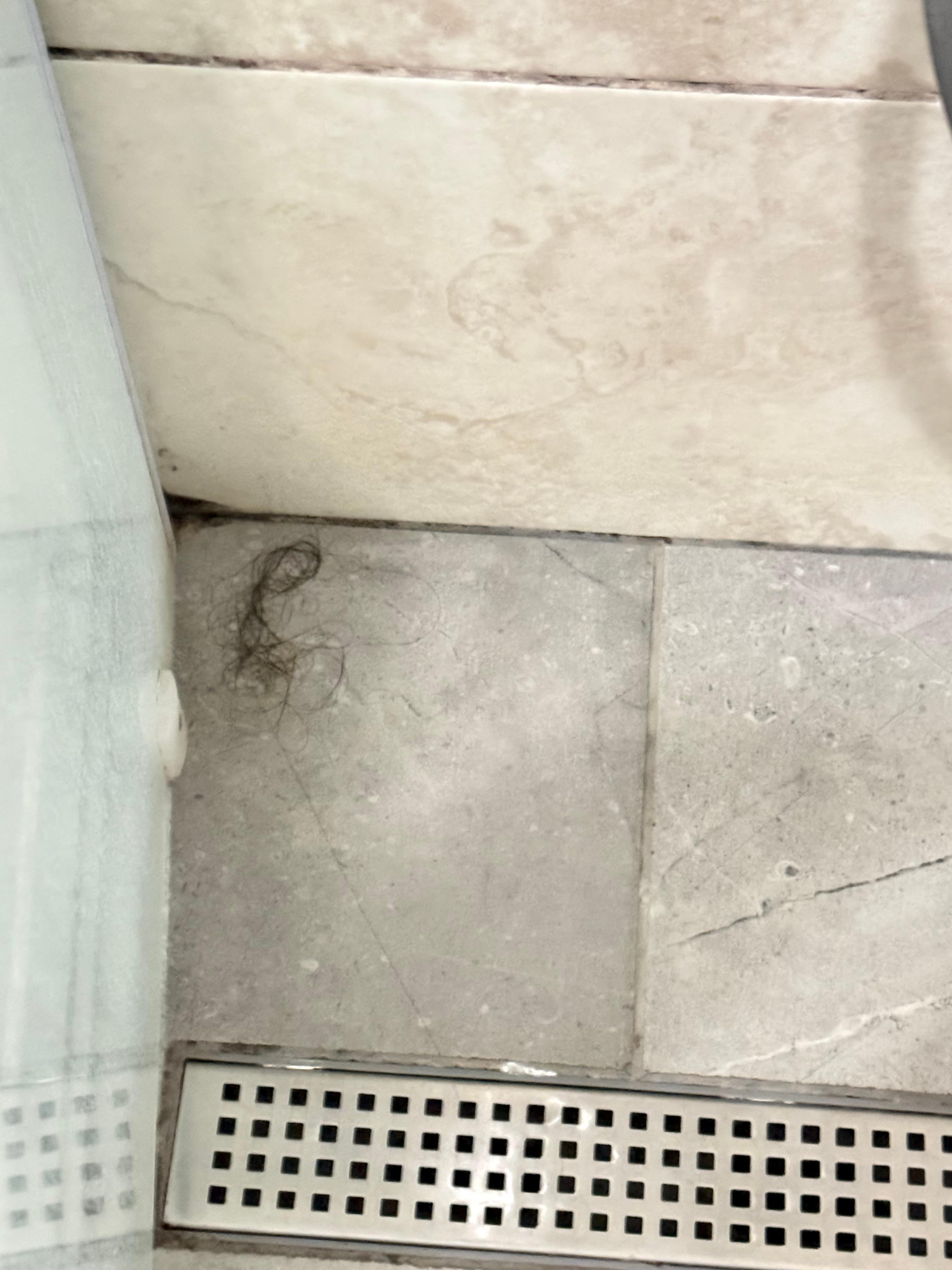 Hair in shower