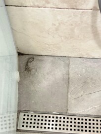 Hair in shower