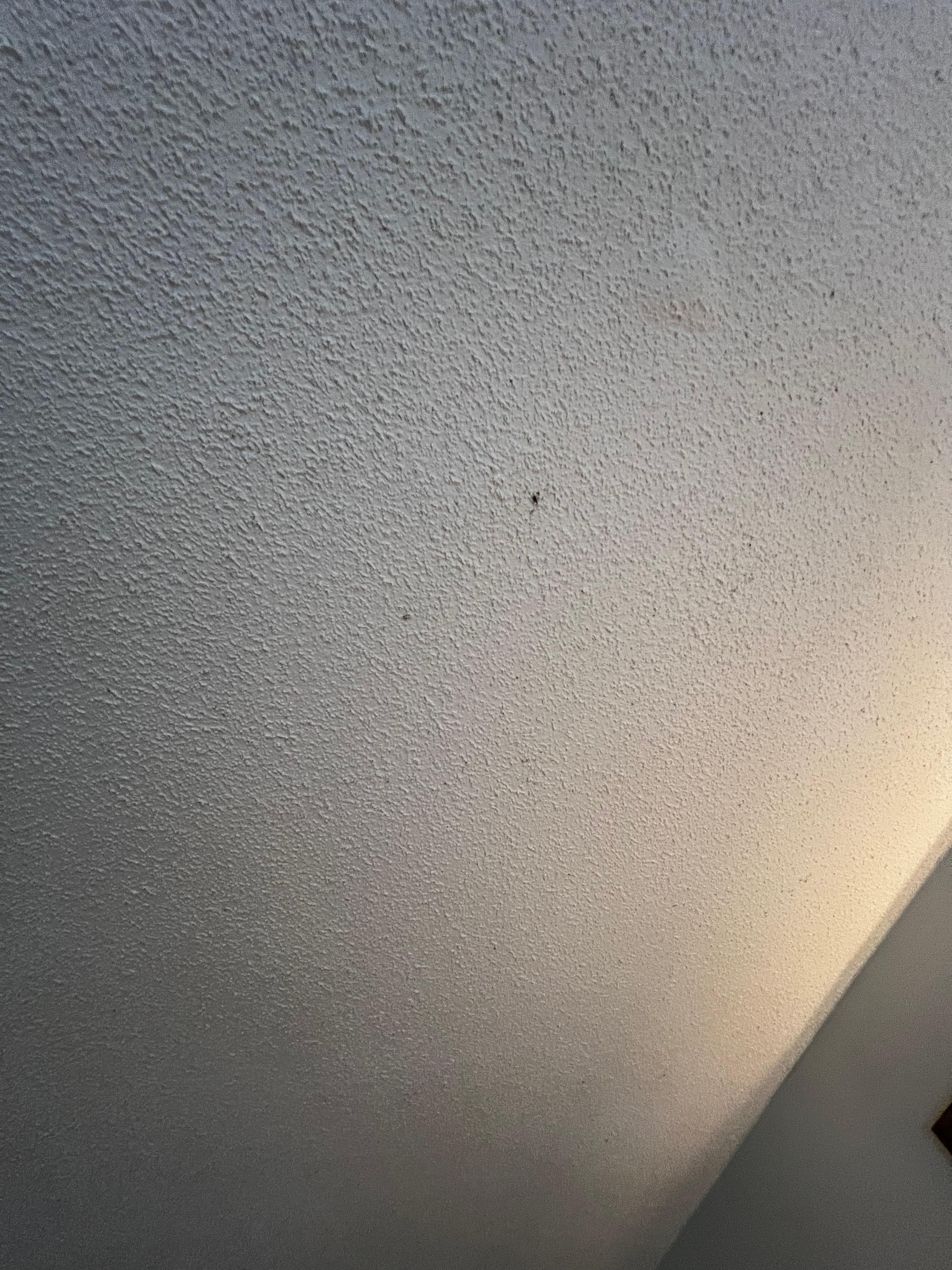 Mildew