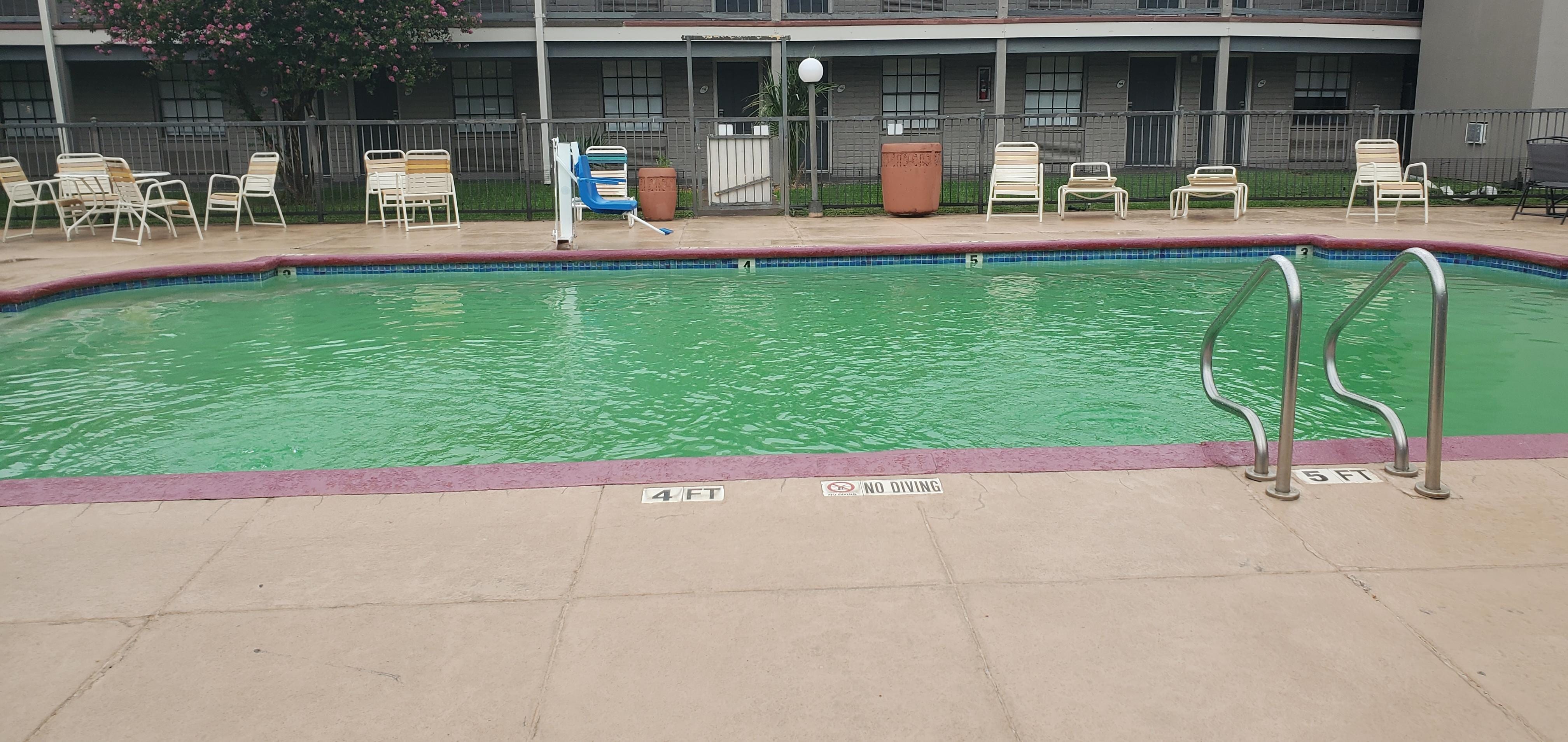 Pool Green