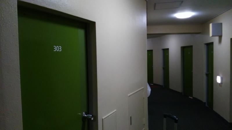 The haunted corridor.
The whole hotel was very recently painted, by the way. Although spinach green it's not a good choice if you are using low fluorescent lighting. The other floors had different colors on their doors.