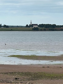 daylight view from the patio with heron, low tide