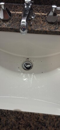 Bathroom sink had coffee grounds upon arrival in the room