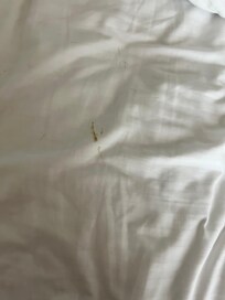 Dirty bed