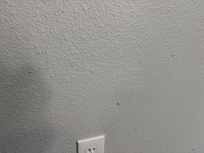 Looks like blood spots on the wall