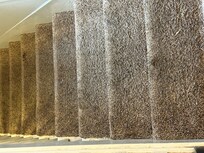 Dirty old carpet