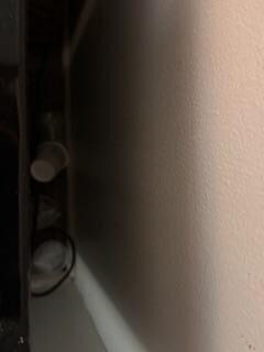 Cups and cobwebs behind refrig