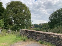 View from the car park