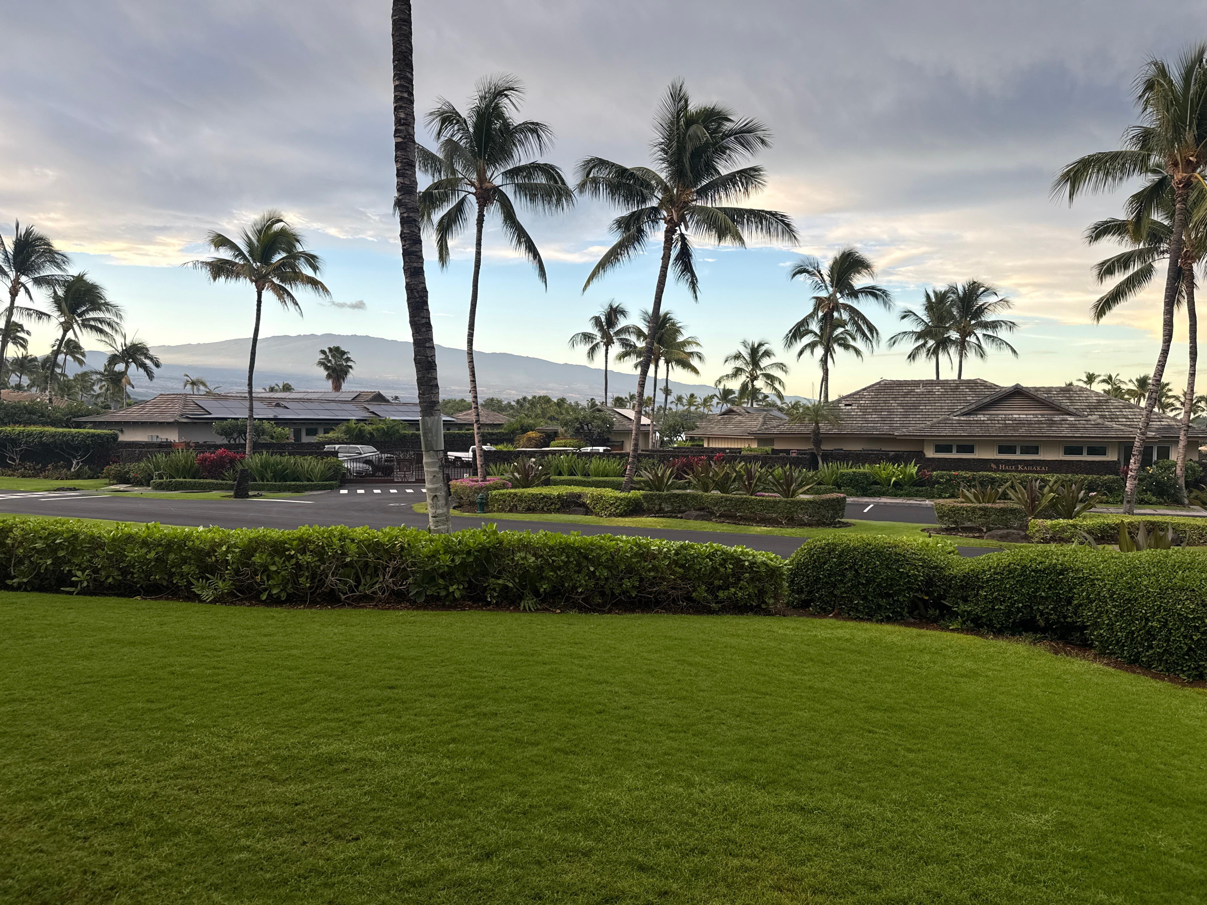 The view from the lanai. I didn’t want to leave.