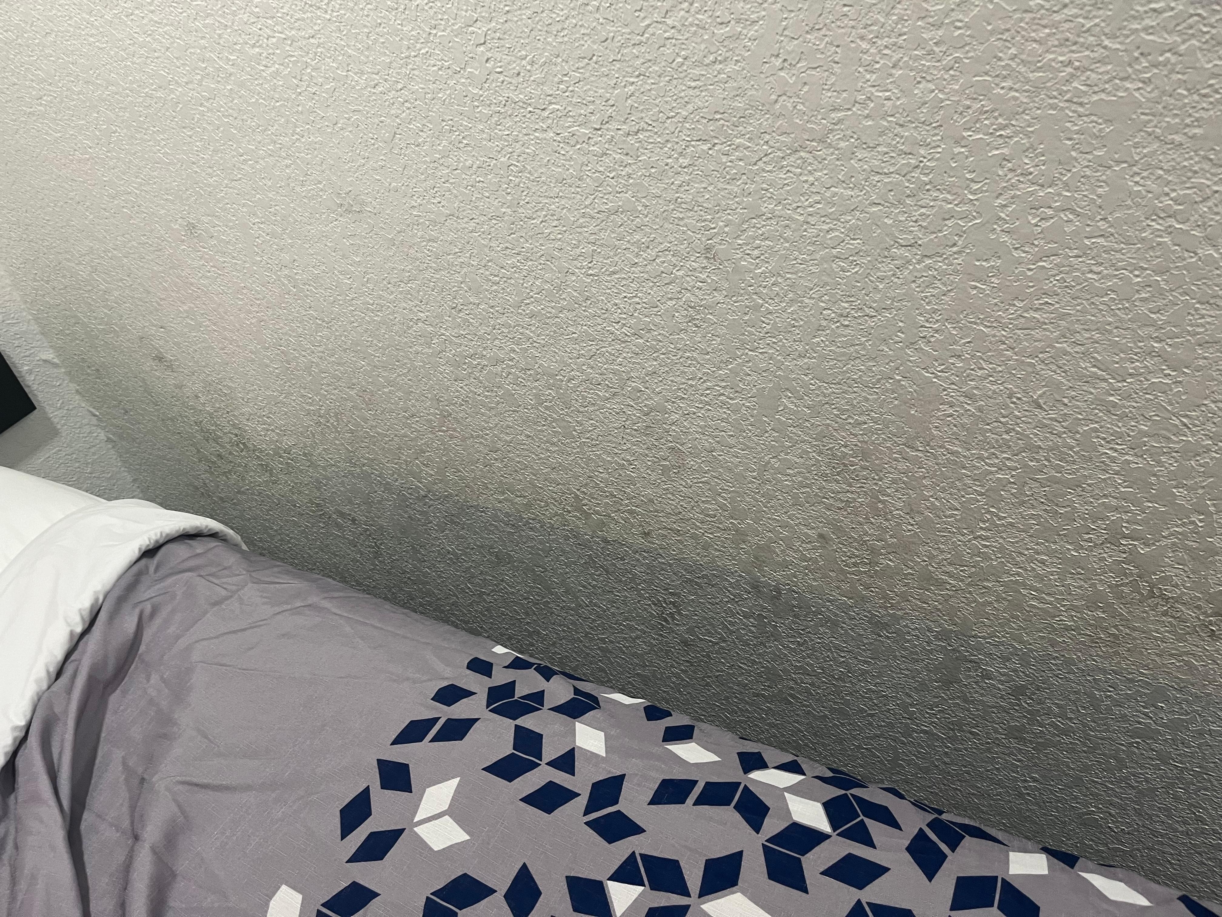 The wall needs to be painted. This picture doesn't do it any justice.