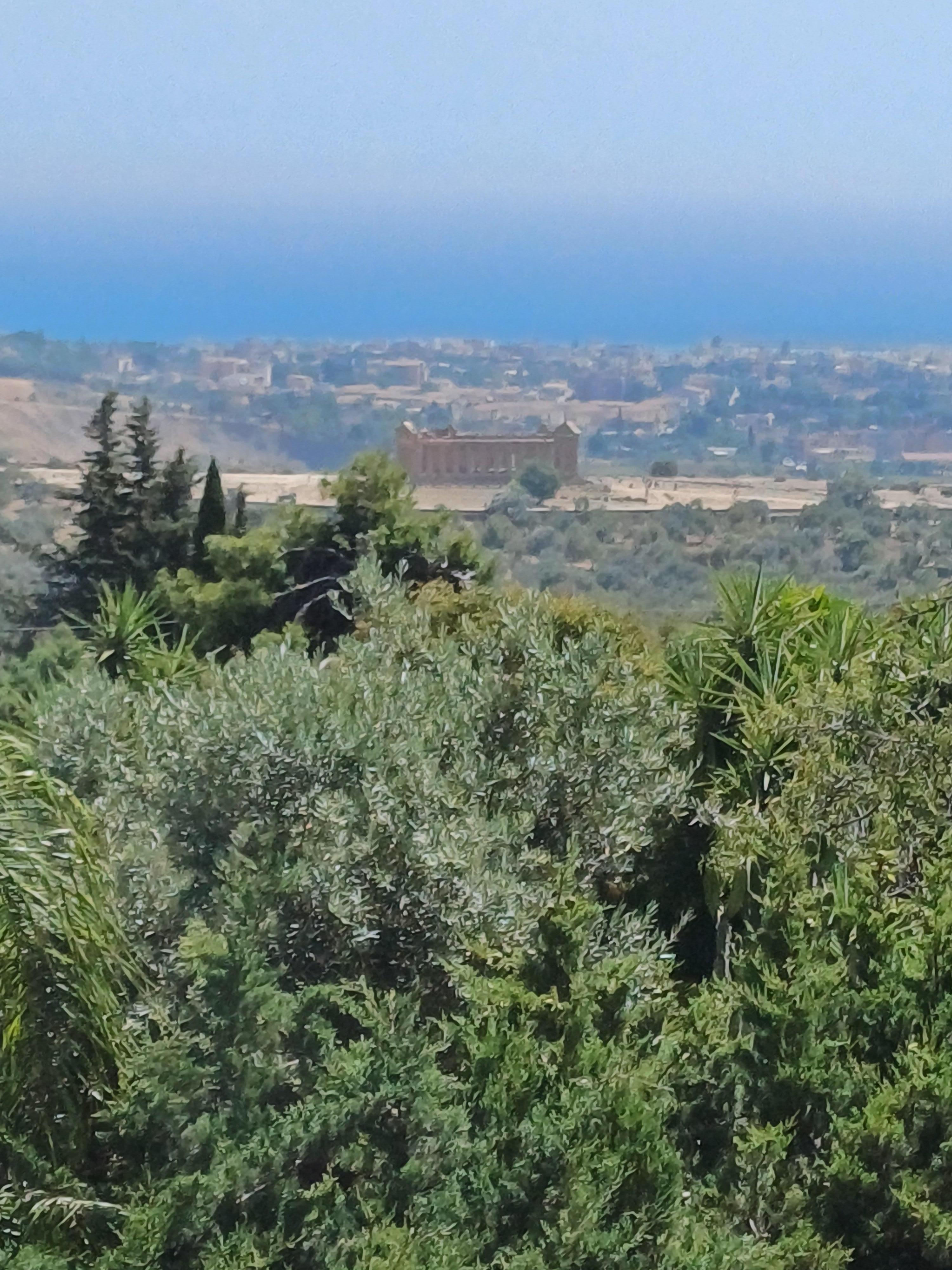 View from the room