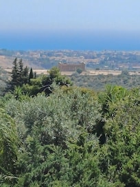 View from the room
