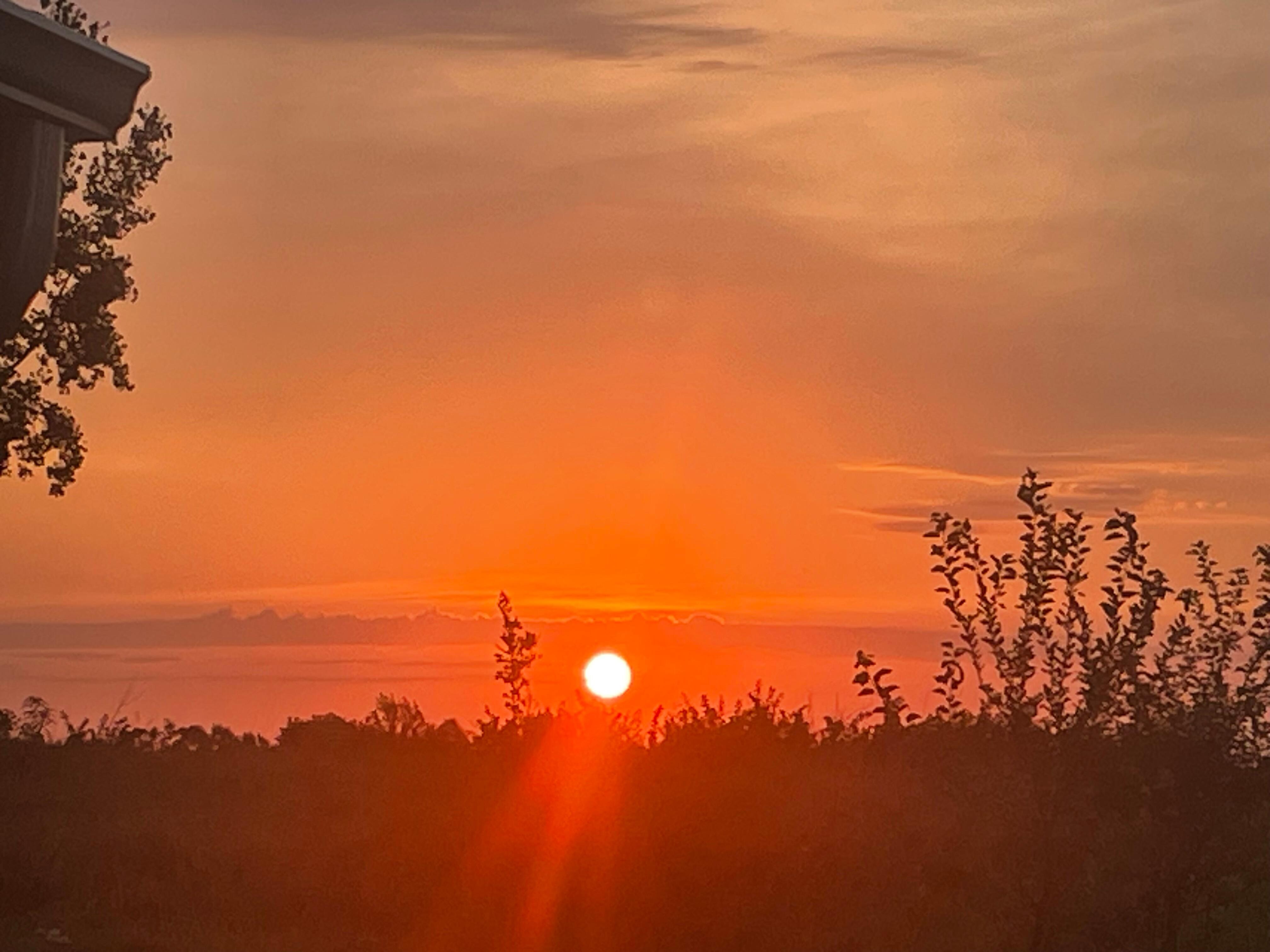 Sunrise from the porch off the sunroom