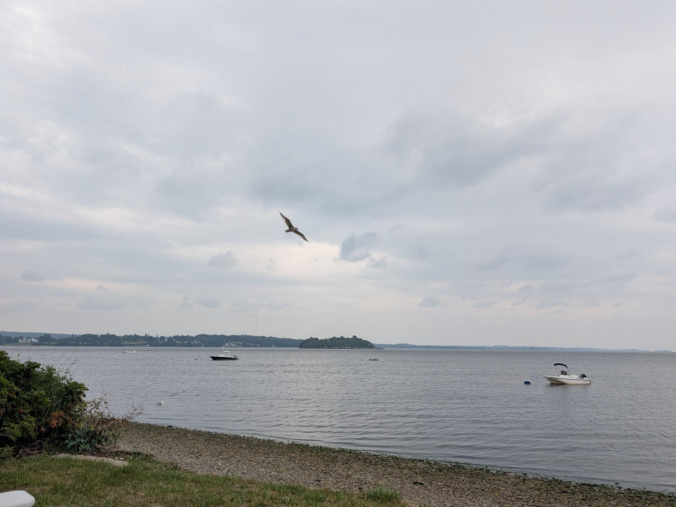 The view from the backyard. 