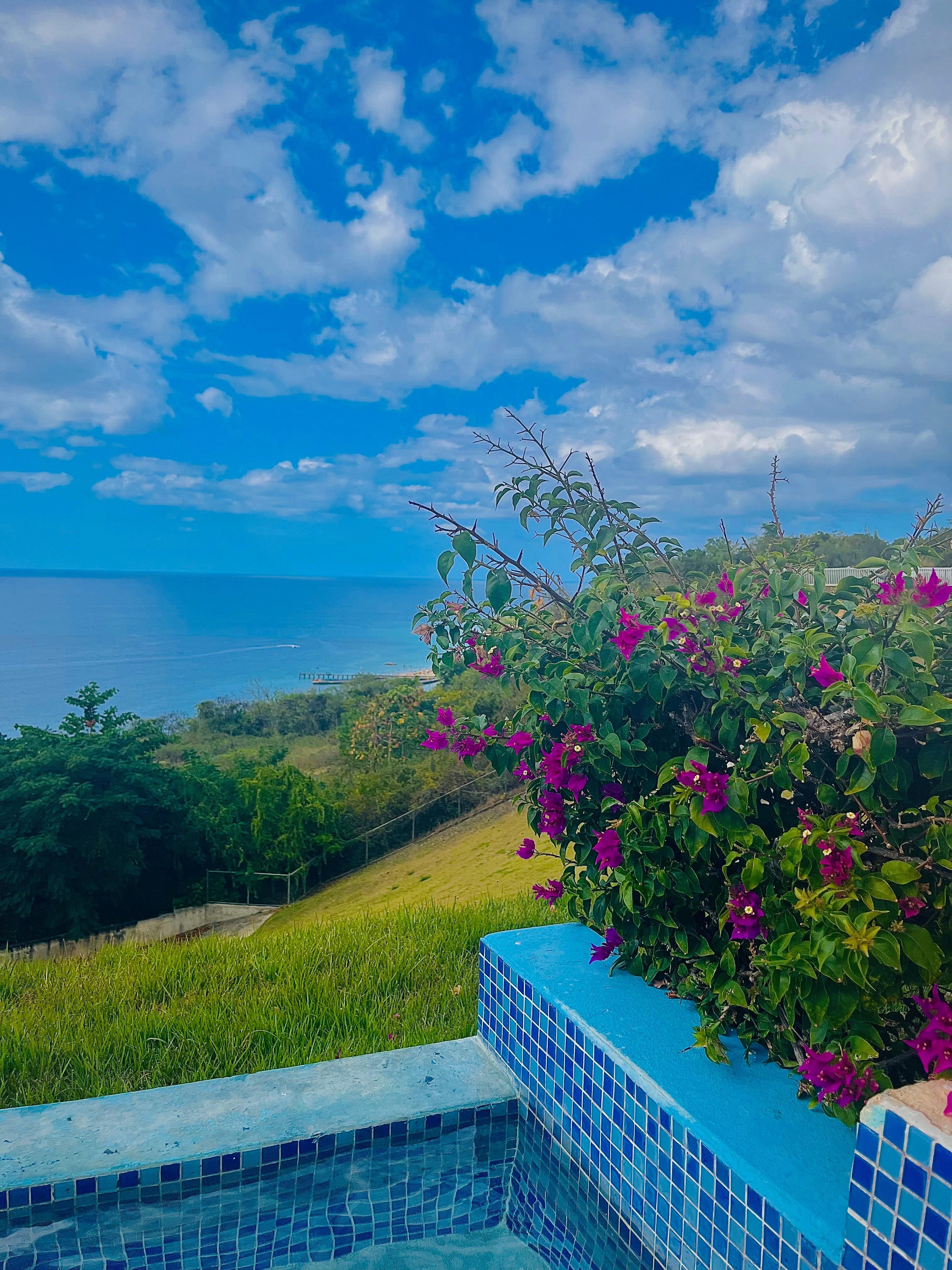 Overlooking crashvoat!