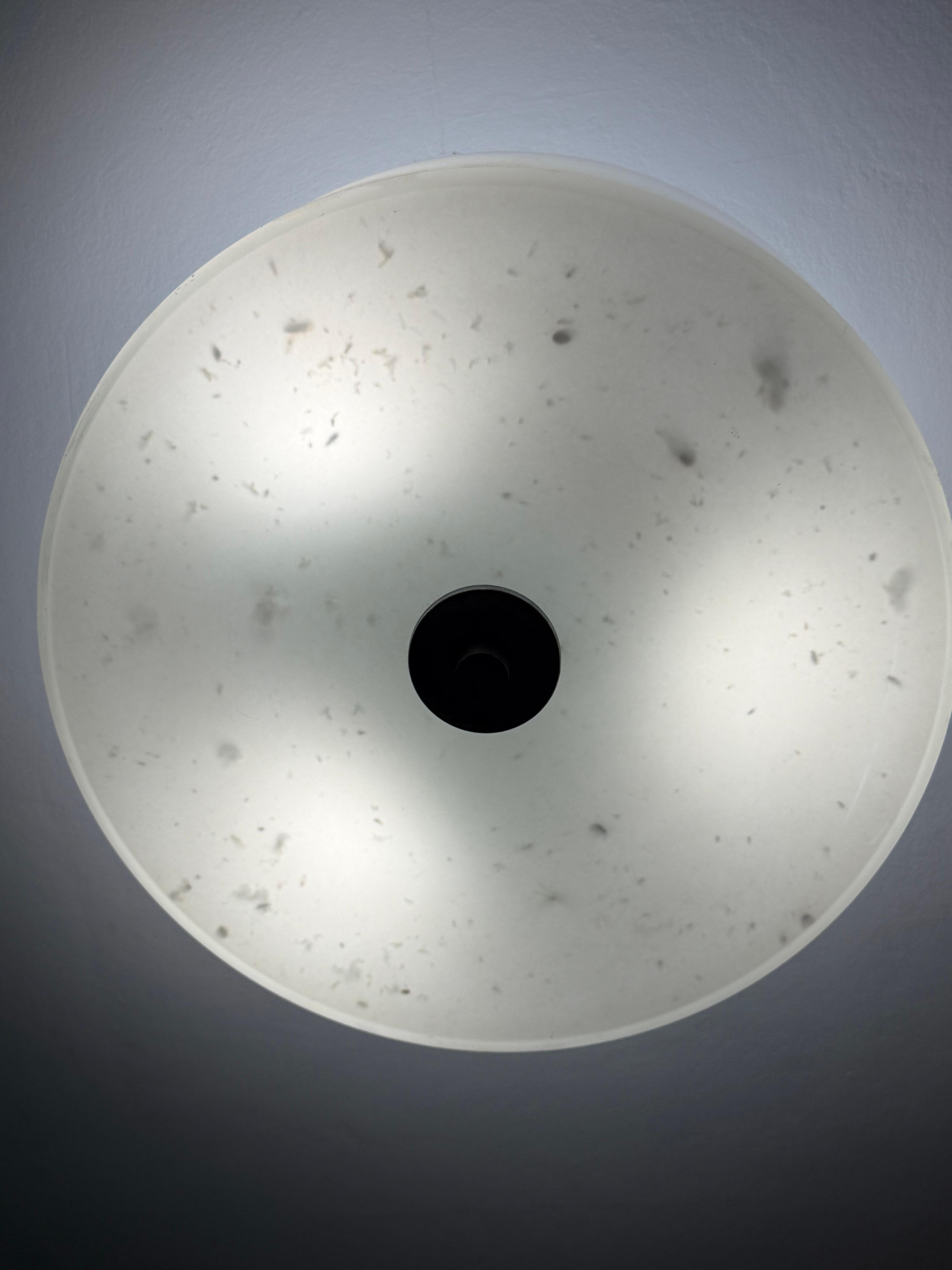 Light fixture full of bugs