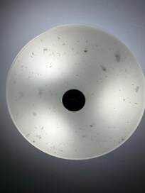 Light fixture full of bugs