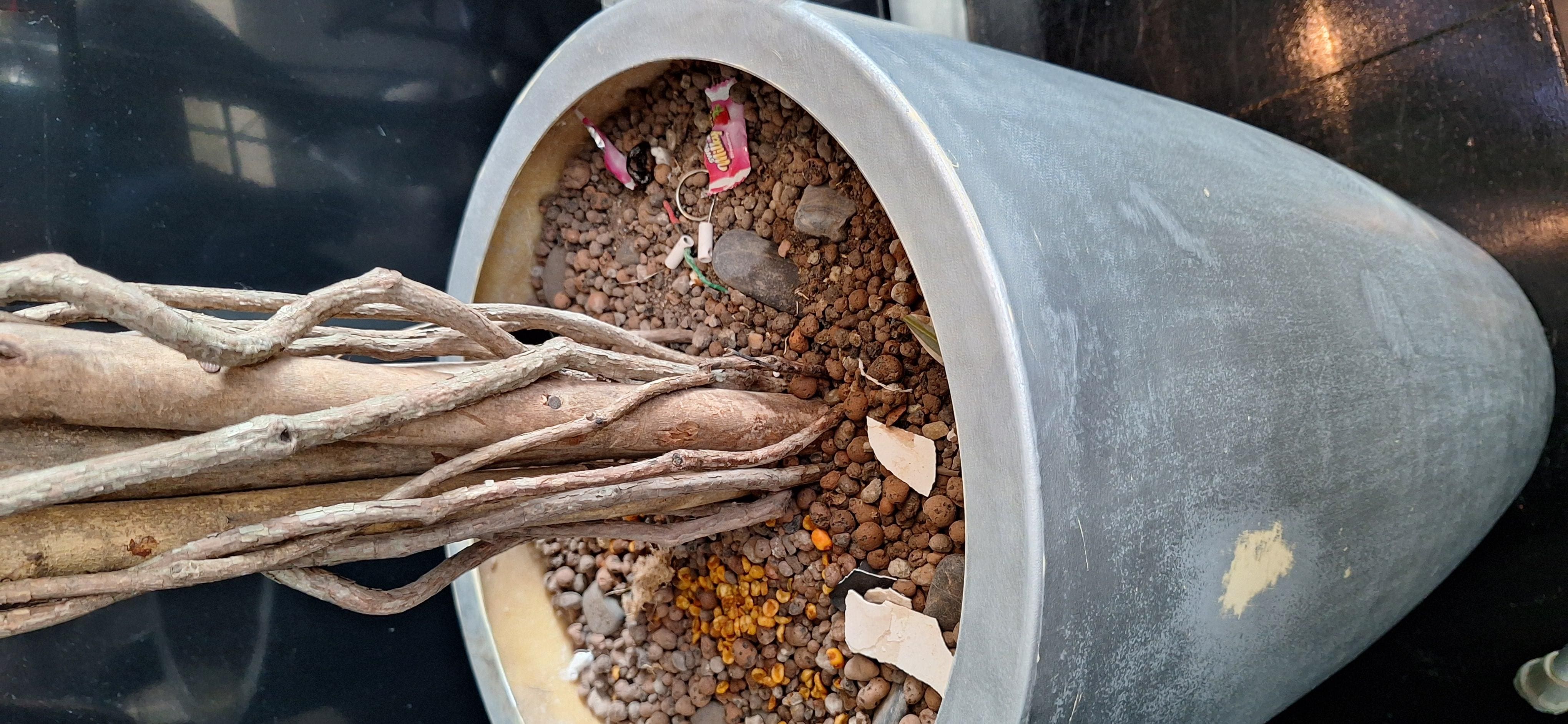Flower pot in lobby 
