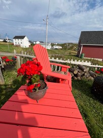 A lovely place to sit and enjoy the view amongst Ann’s beautiful pots of flowers!