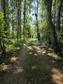 Chemin près de la maison.