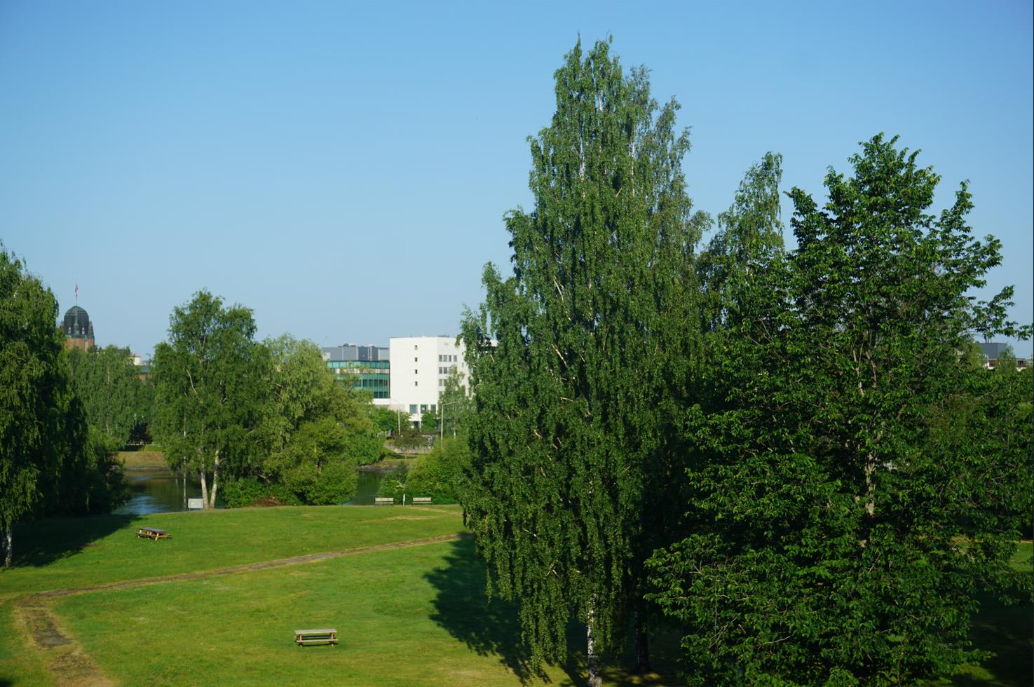 Riverside park Sirkkalan Puisto as seen from our room