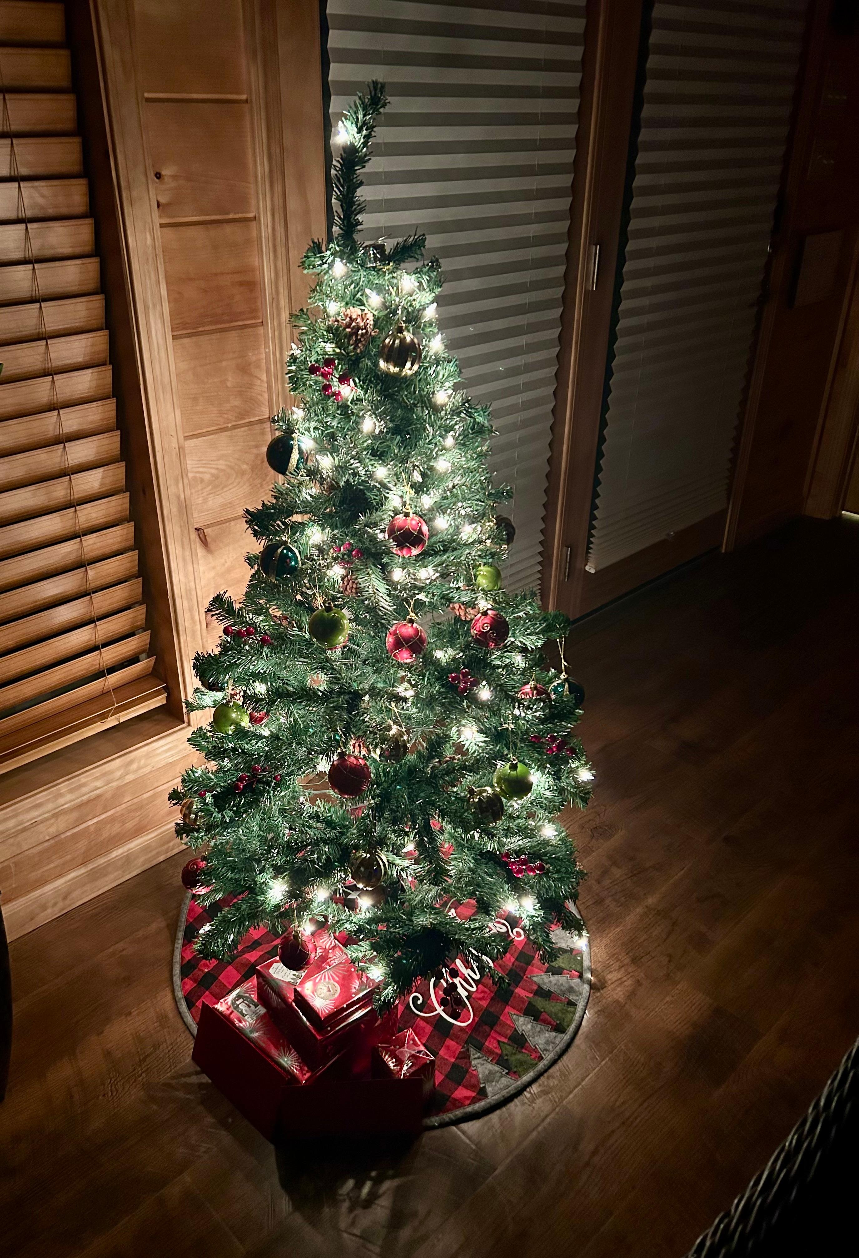 Christmas tree provided by host was a special touch.