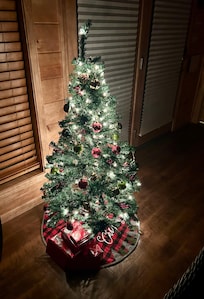 Christmas tree provided by host was a special touch.