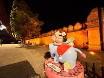 Sightseeing , food stalls