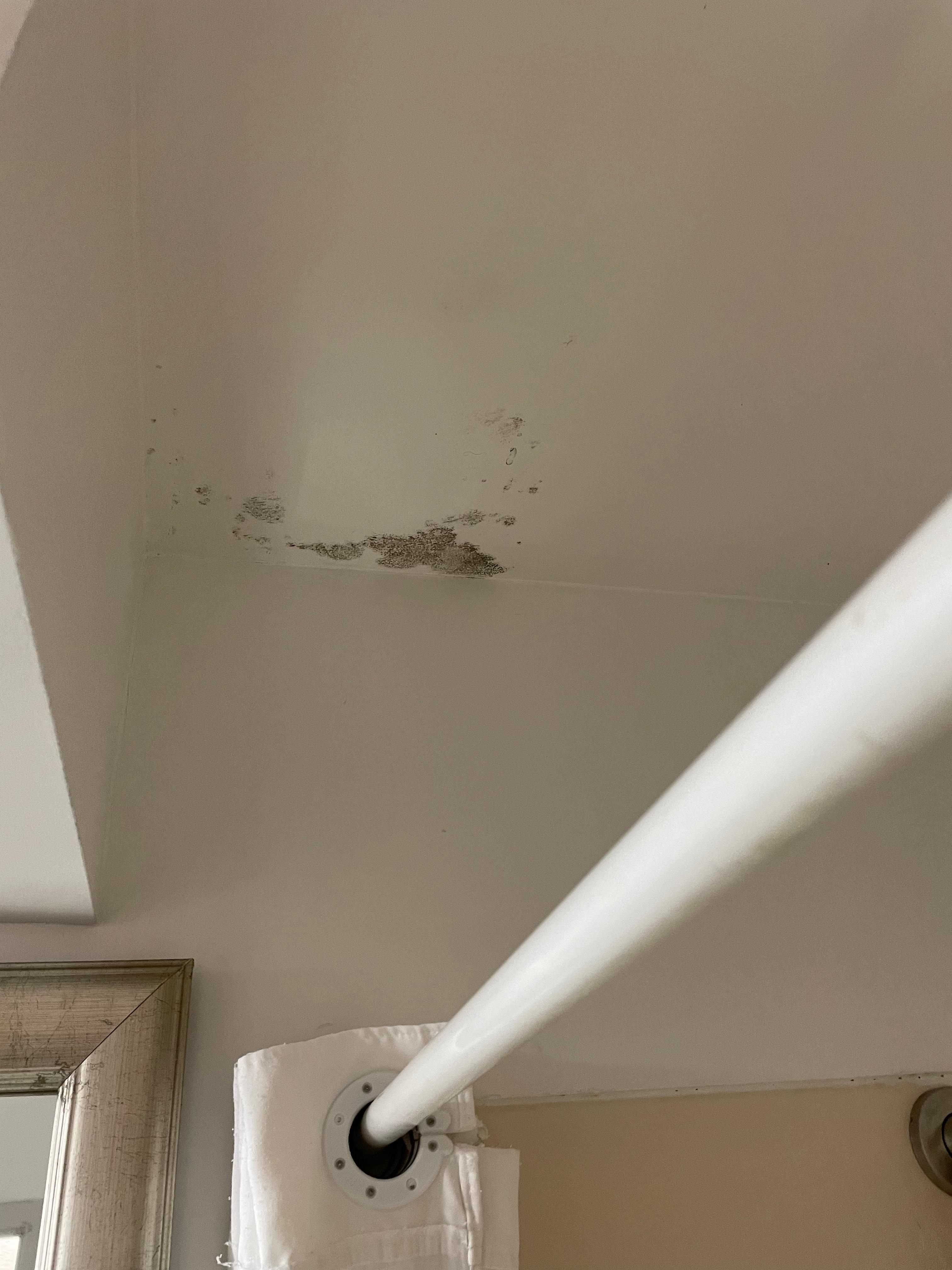 bathroom ceiling very obvious water damage and visable mold