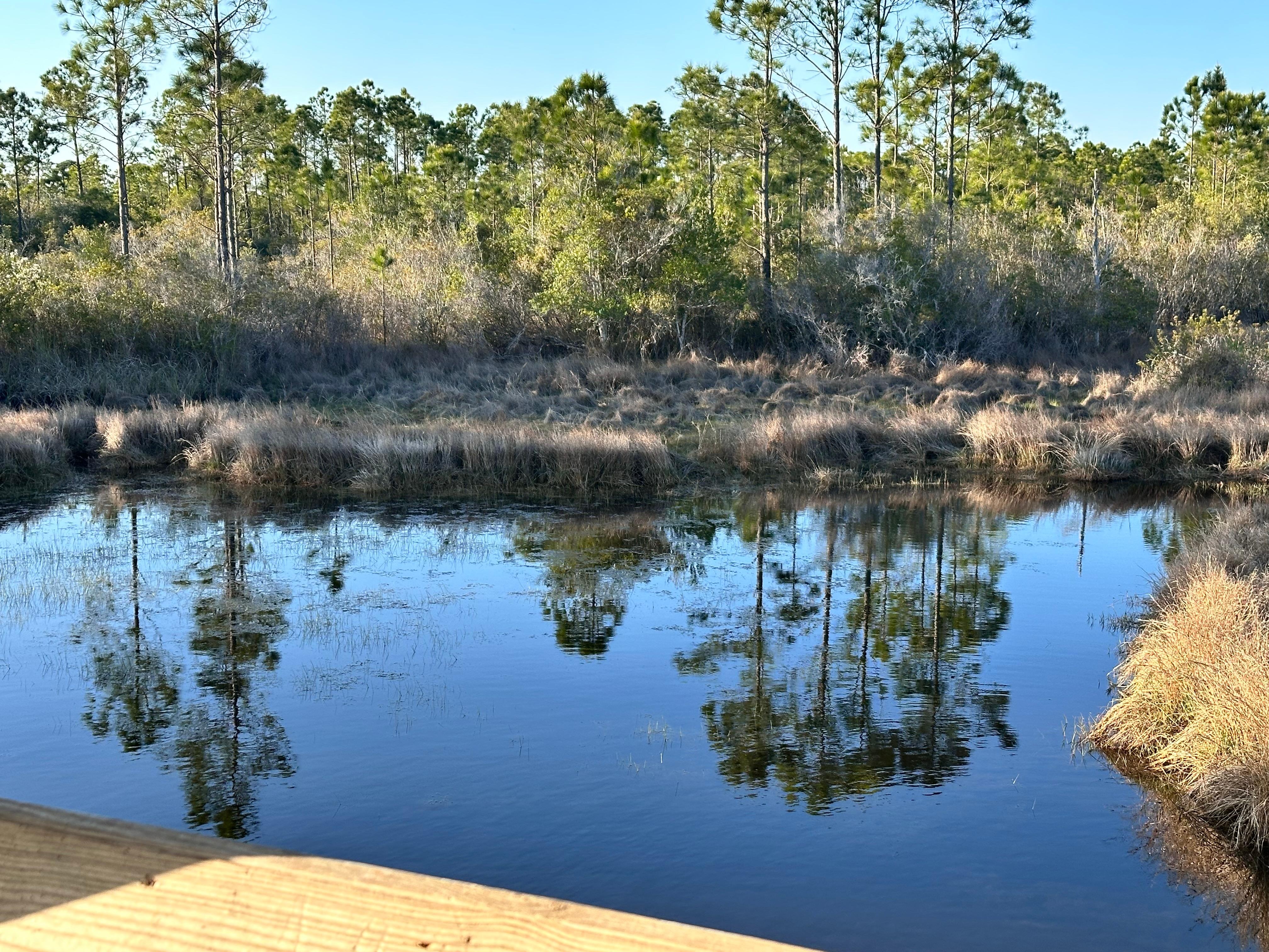 The bay behind our condo 