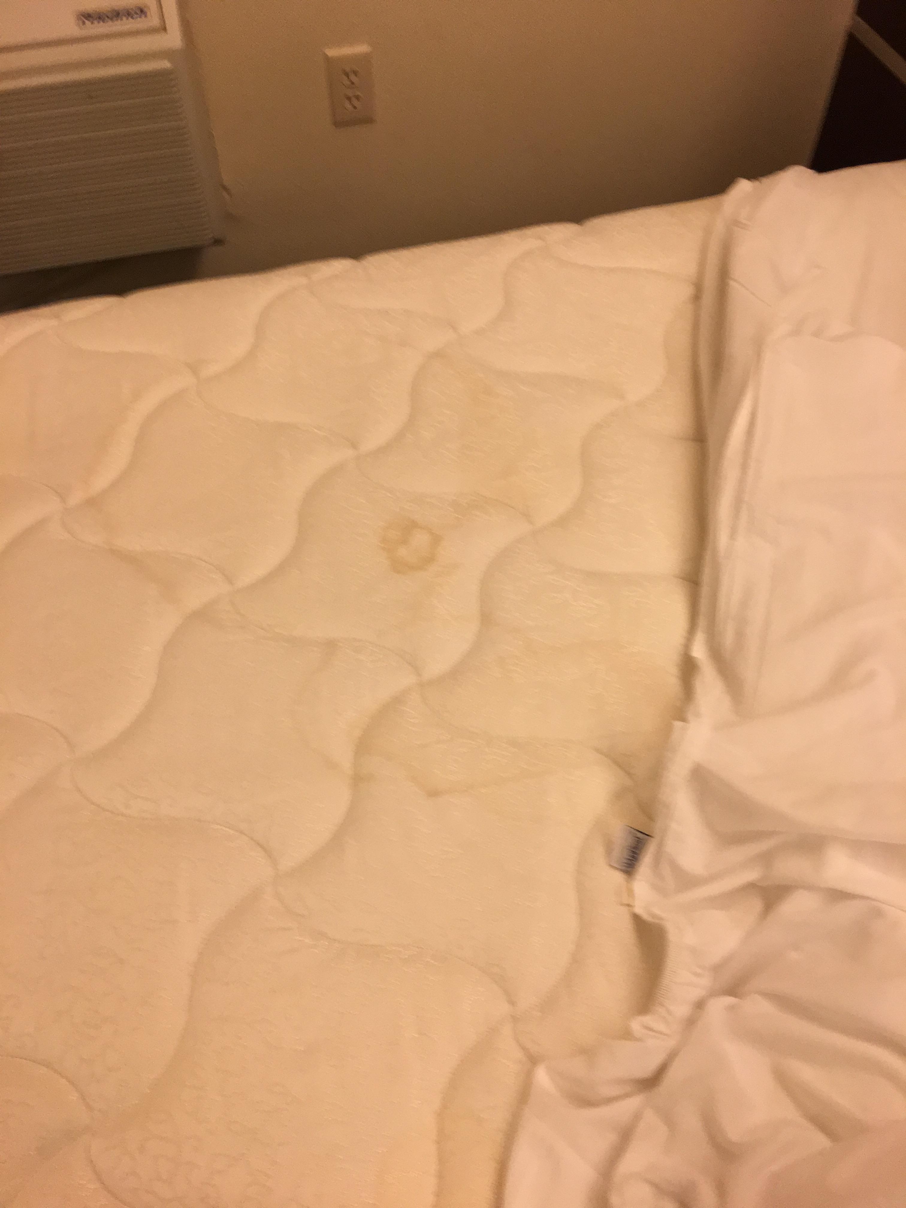 Bed #3