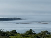 View from the back porch. Watching the sea fog rolling into in.
