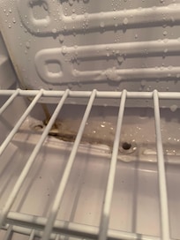 Mould in fridge