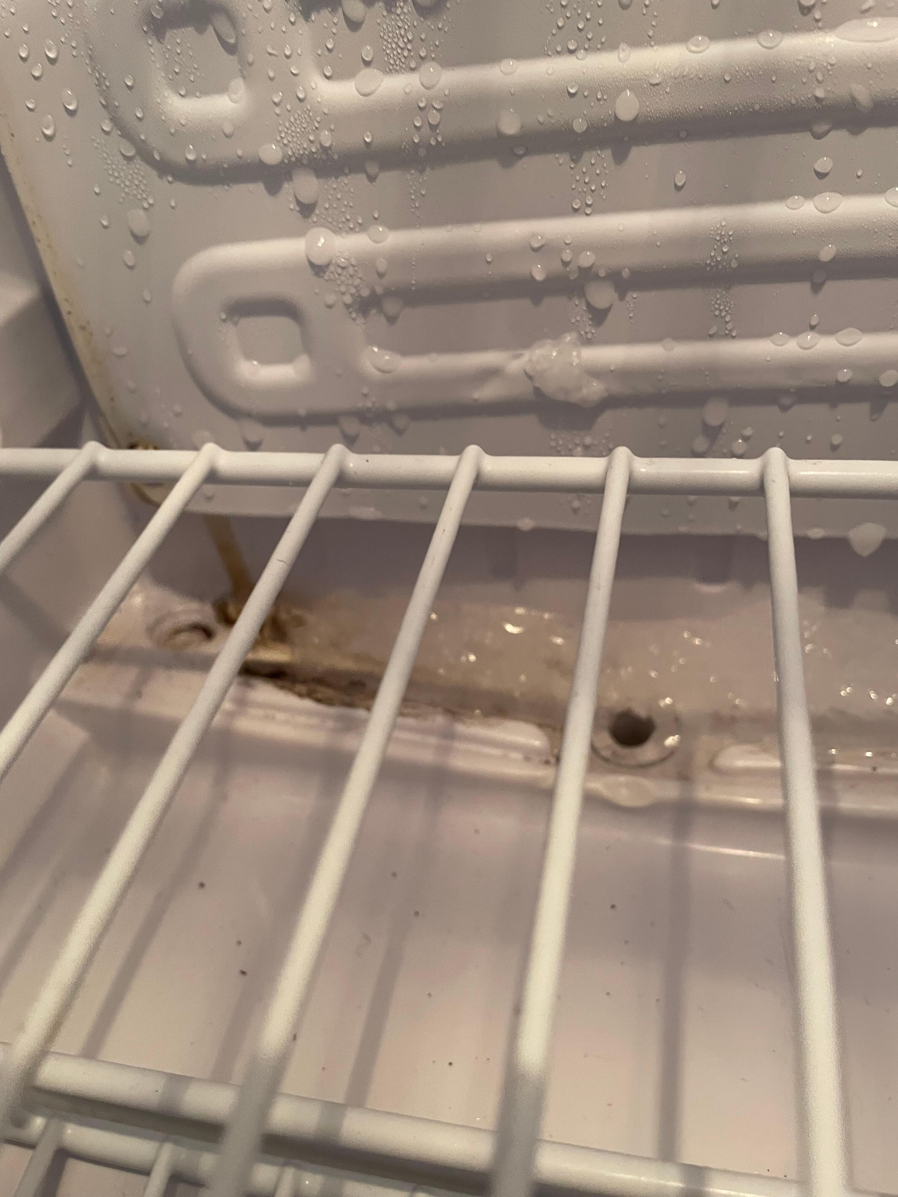 Mould in fridge 
