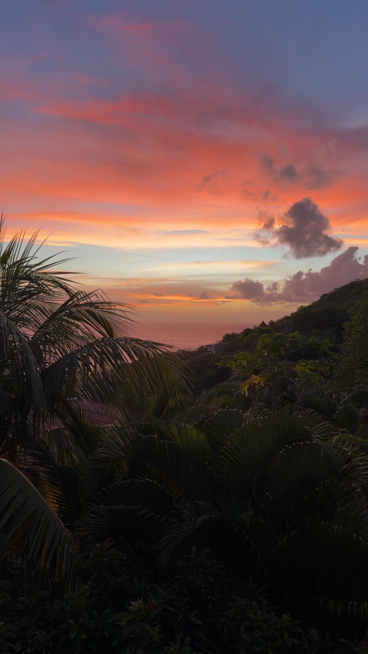 Beautiful sunset from the pool area. 