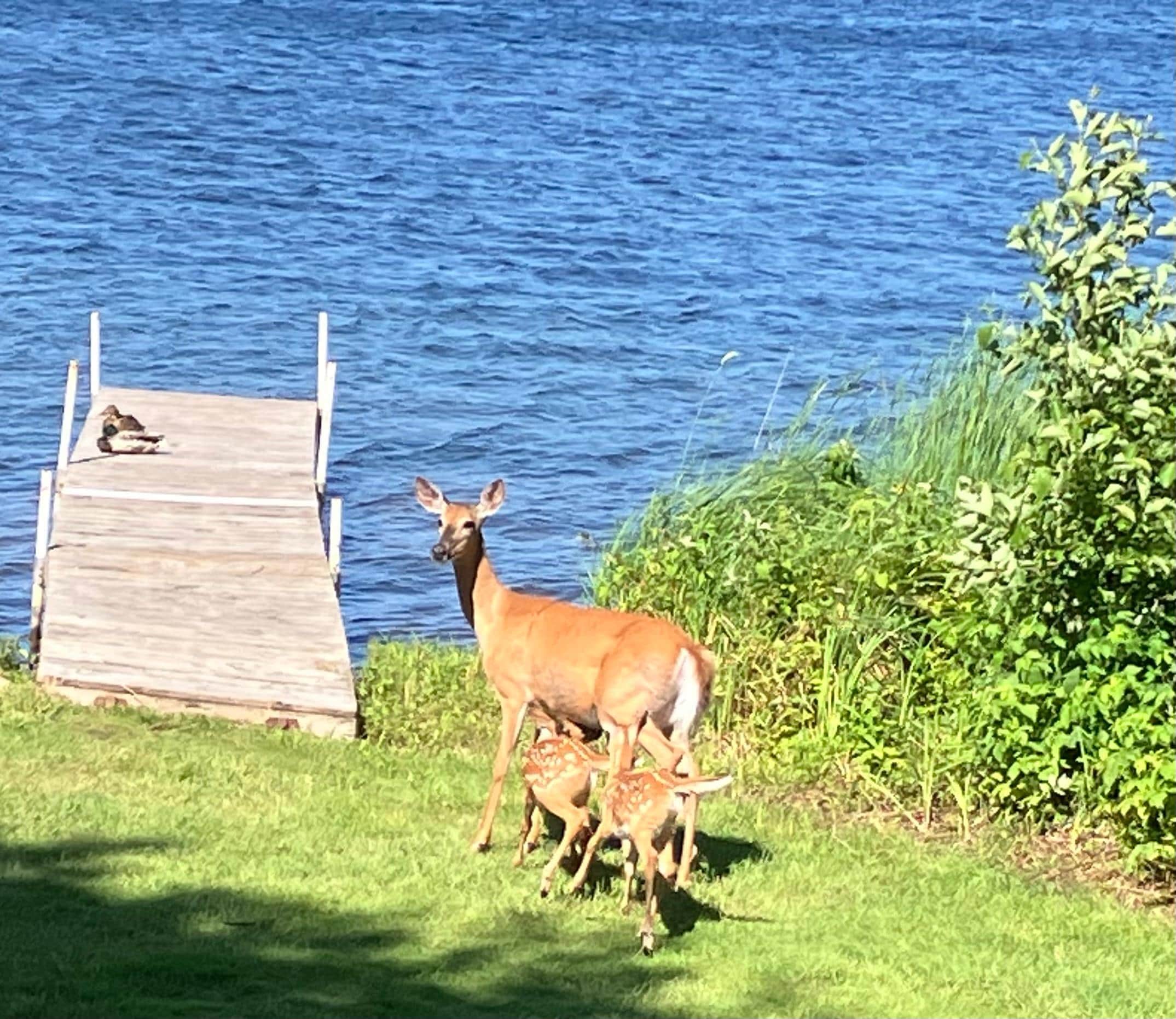 This was our view from sitting on our patio.. Very pleasant..❤️
