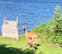 This was our view from sitting on our patio.. Very pleasant..❤️