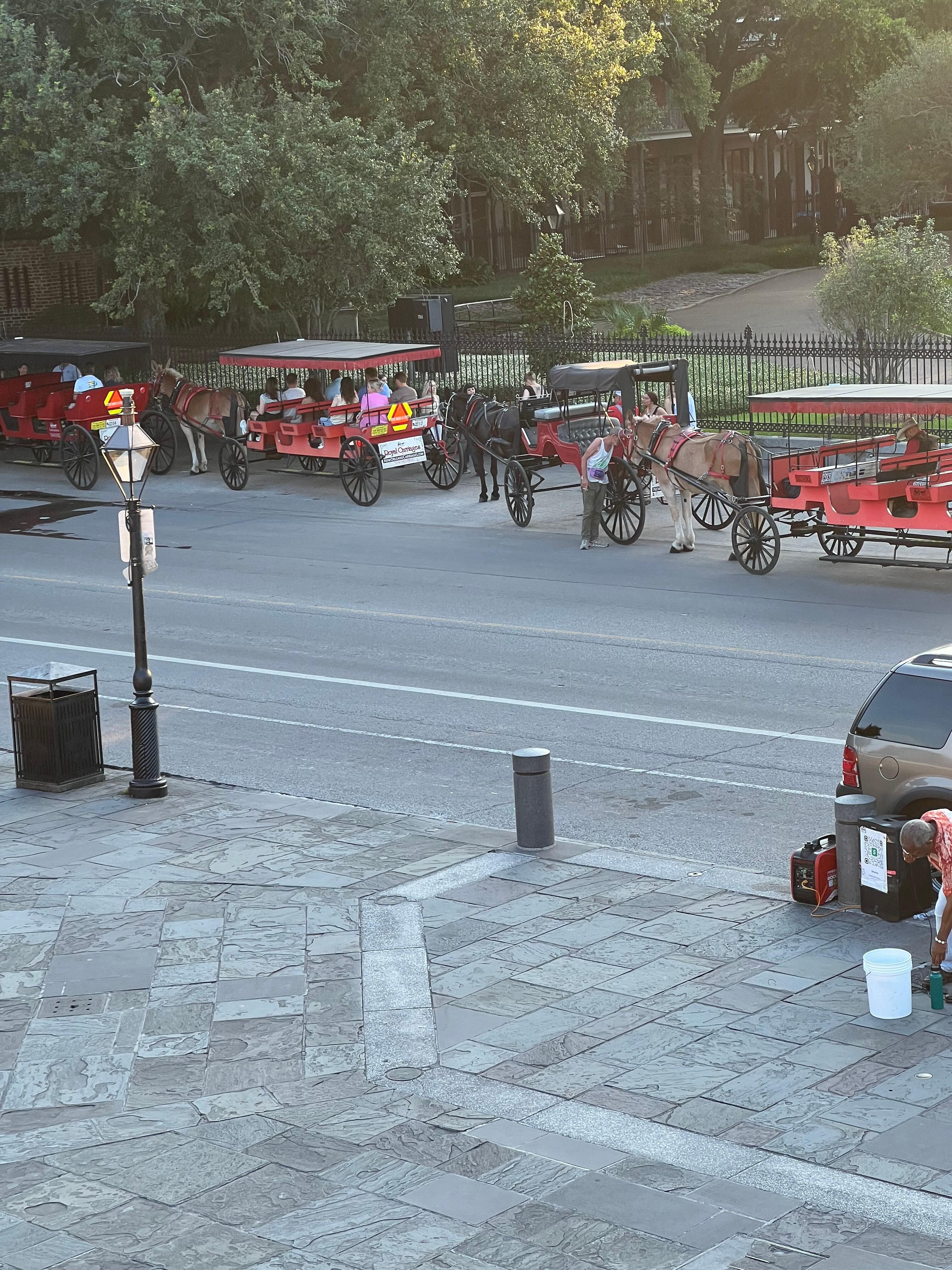 Another shot across from Café DuMonde