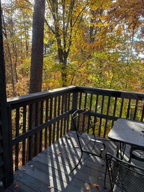 awesome view of the colors from the back patio
