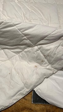 Stained sheets