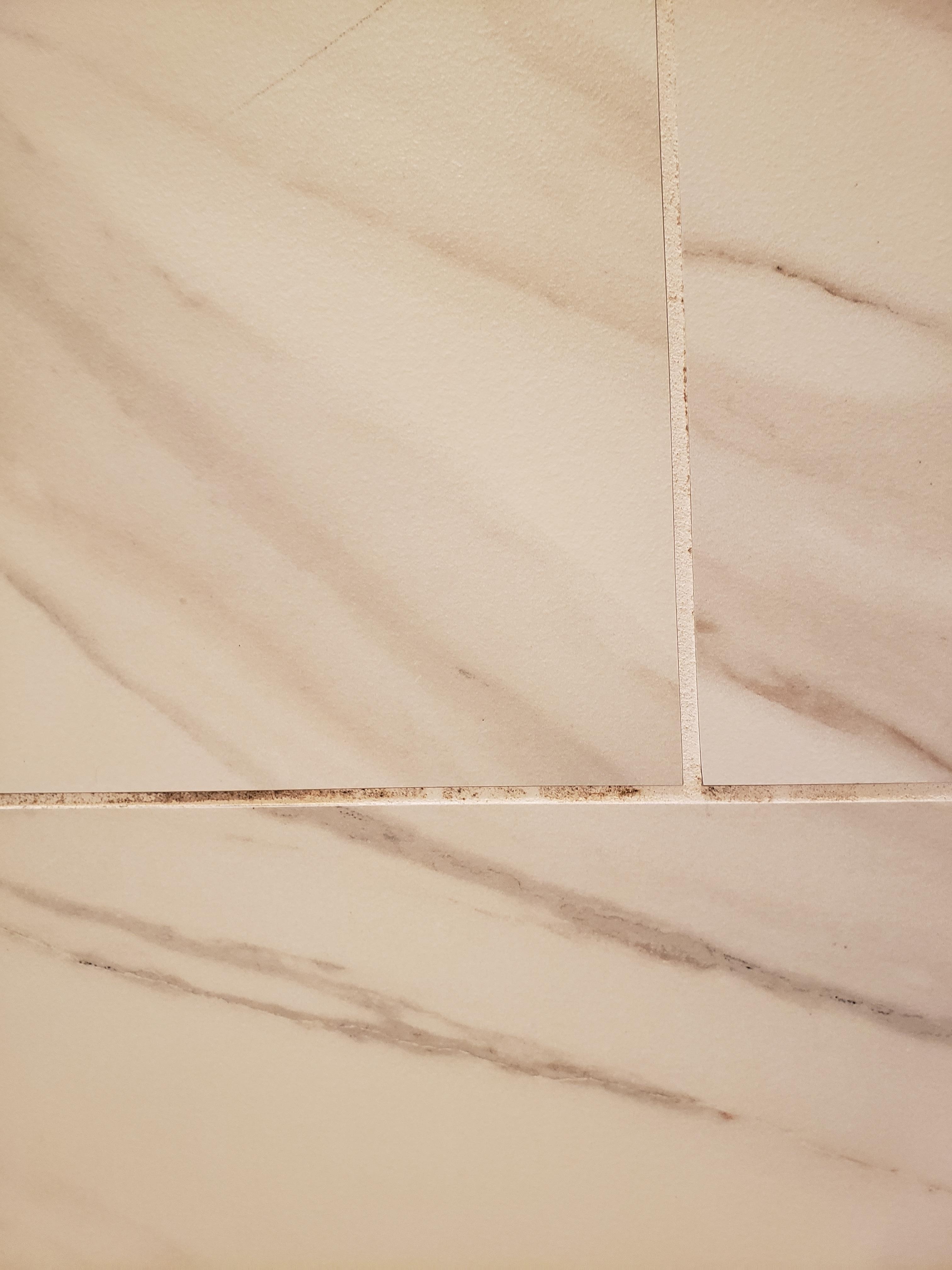 Black mold
