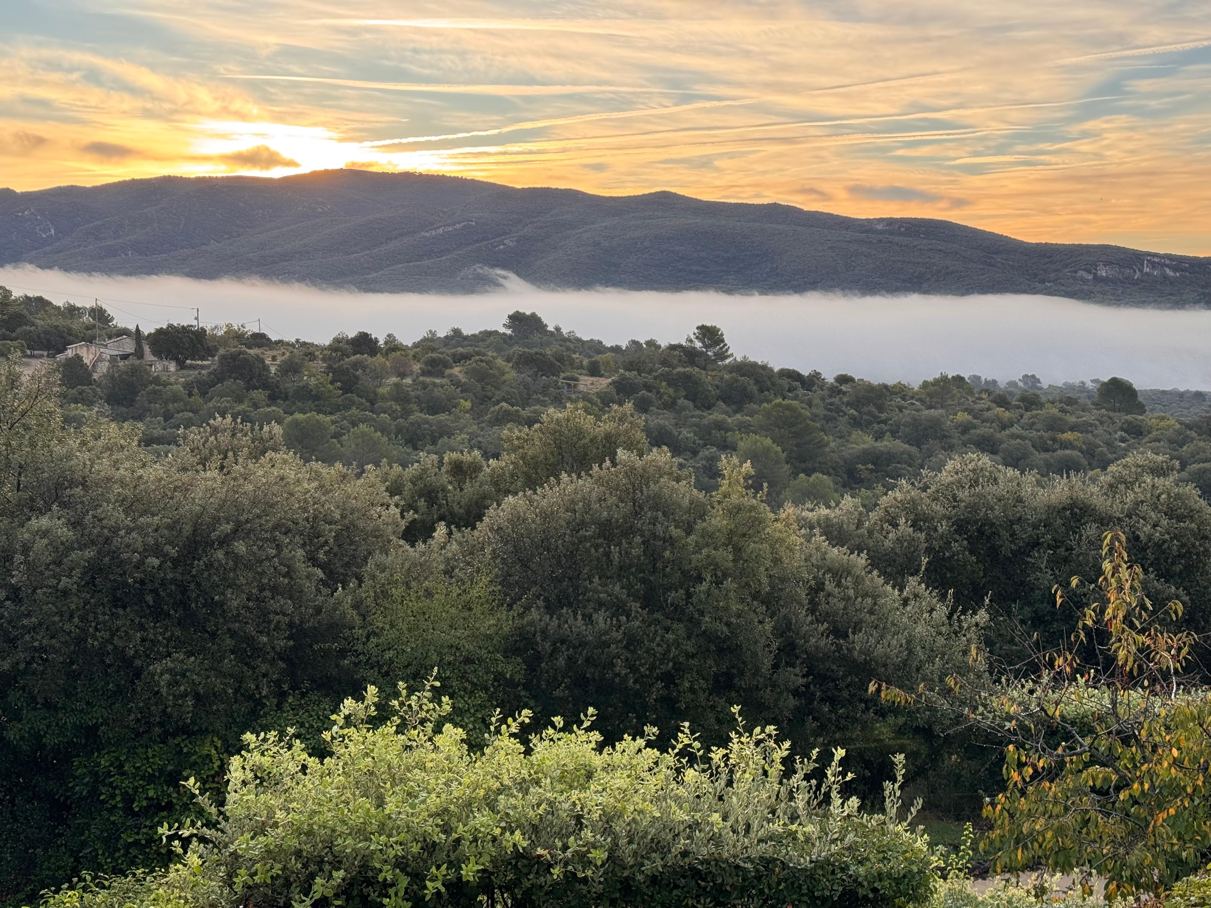 sunrise from the patio