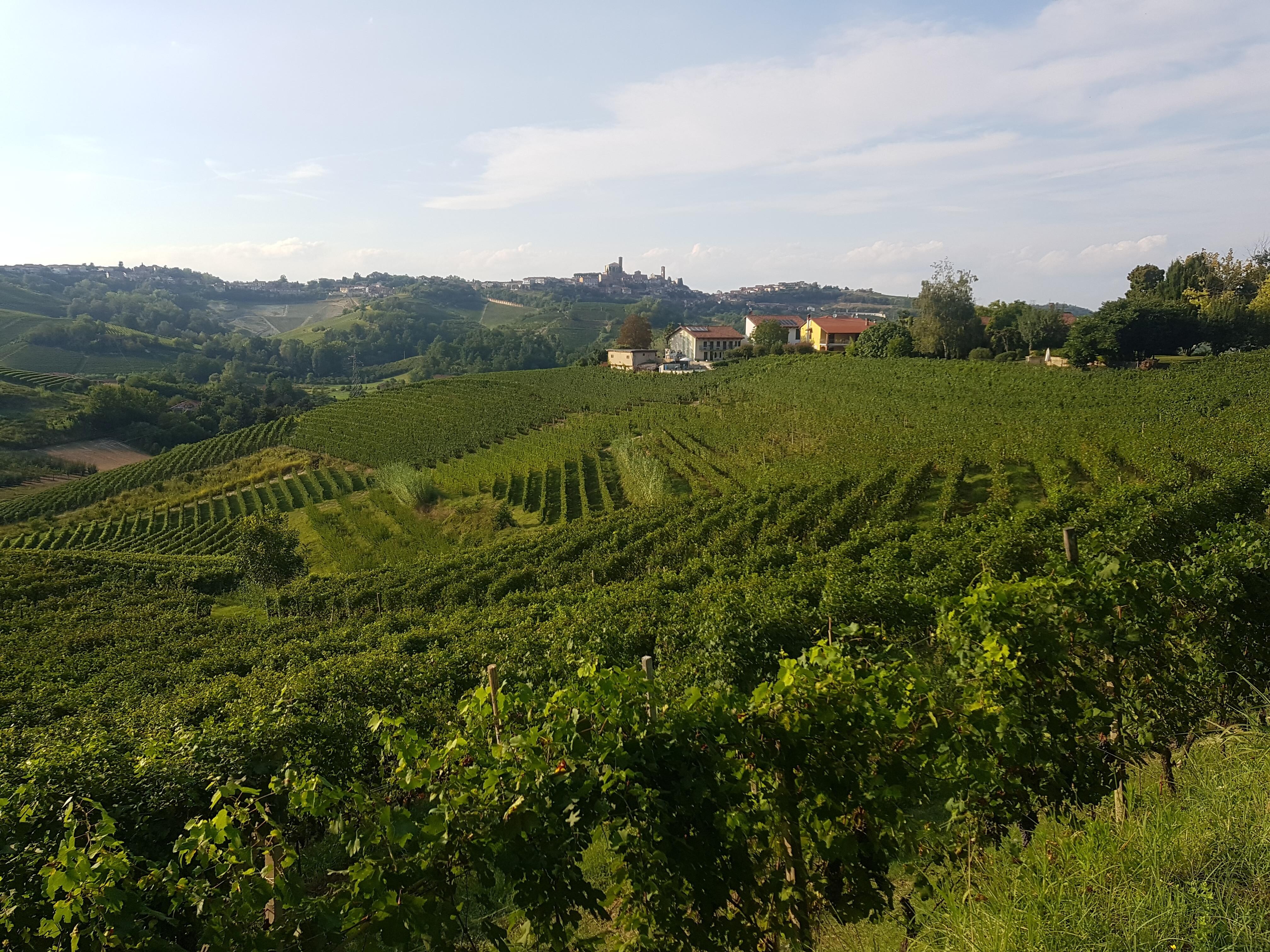 wunderbar gelegenes Ferienhaus