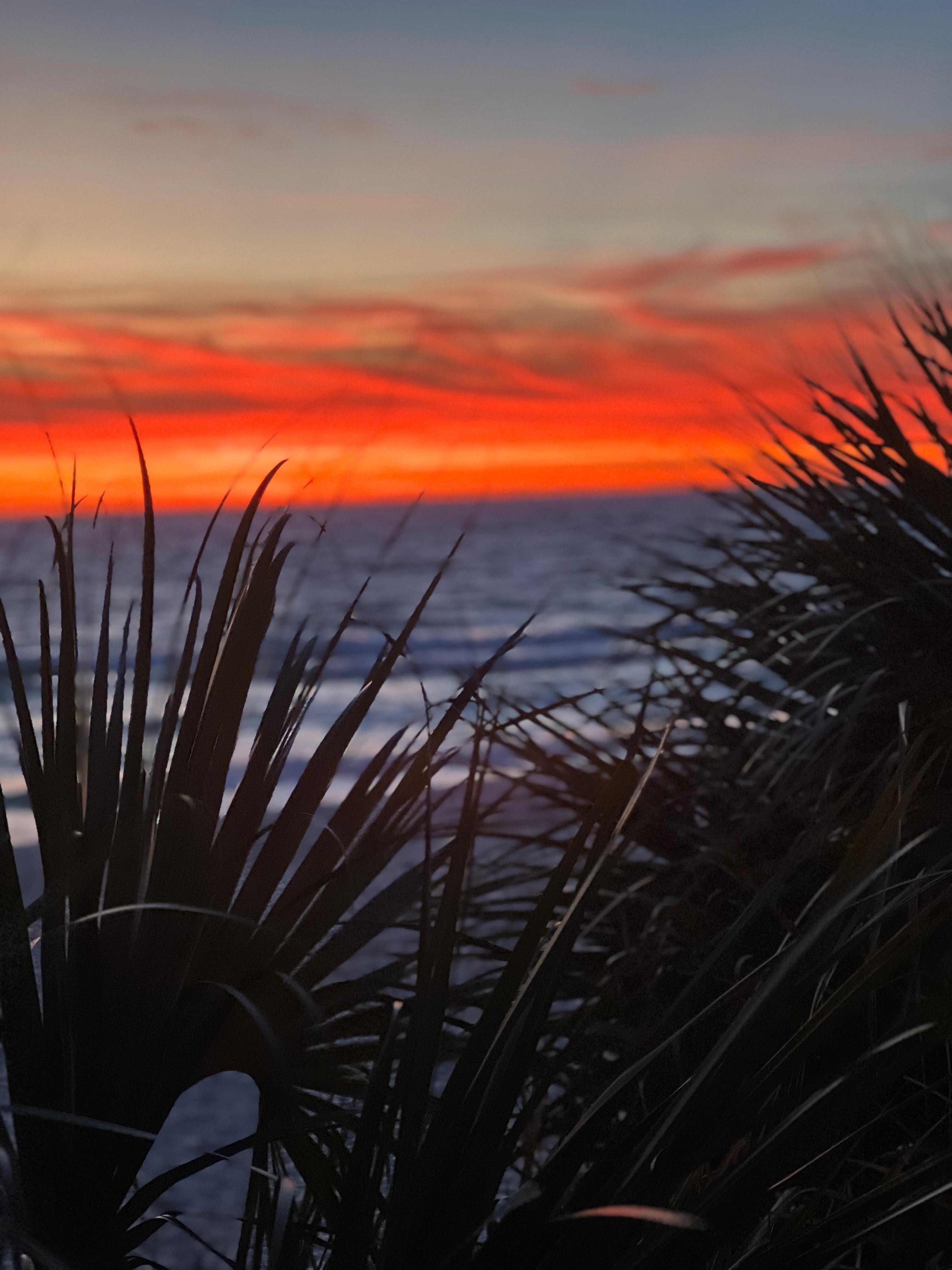 Sunset 1/1/26 room 225