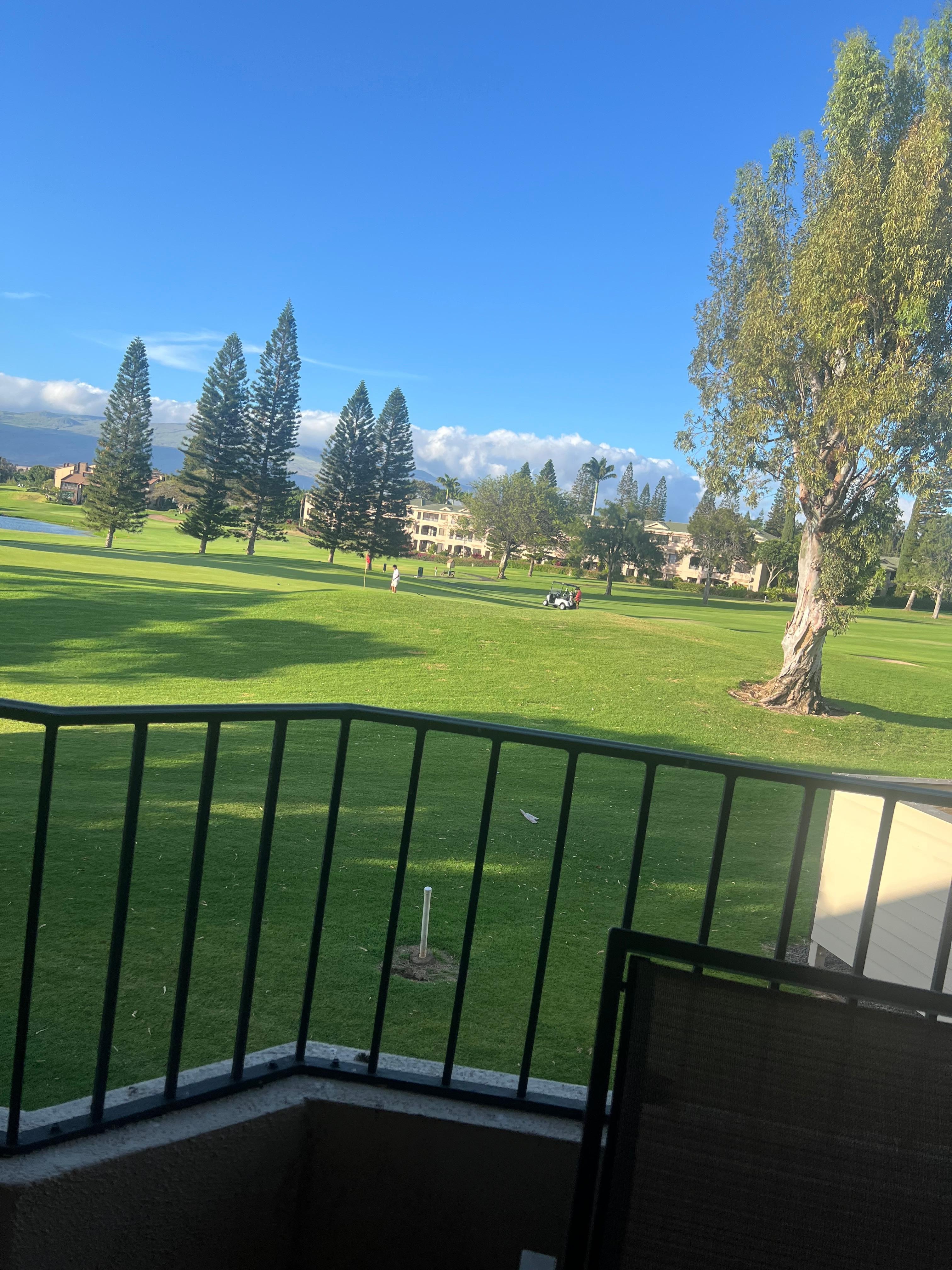 Patio view.