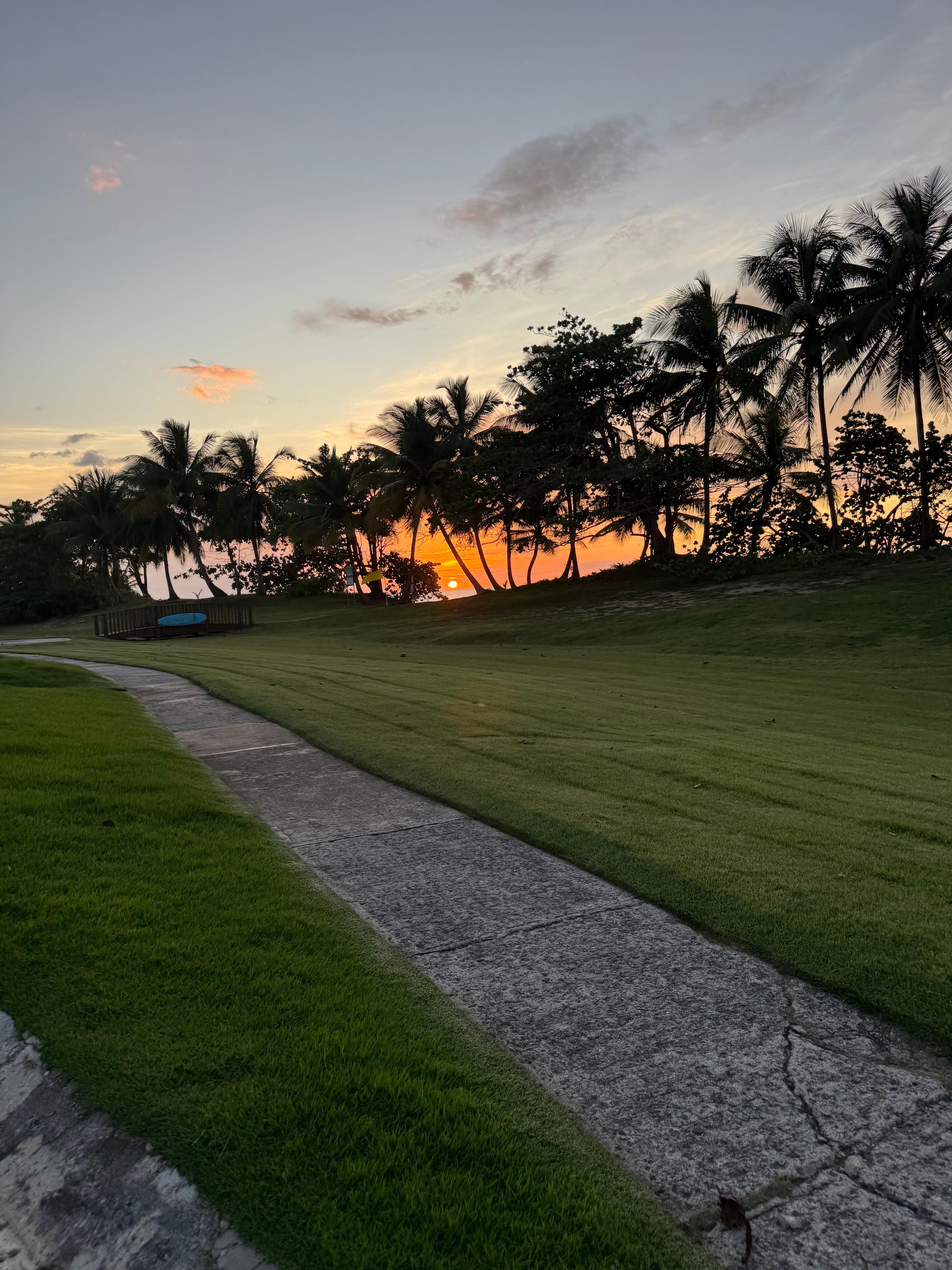 Paradise nightly show