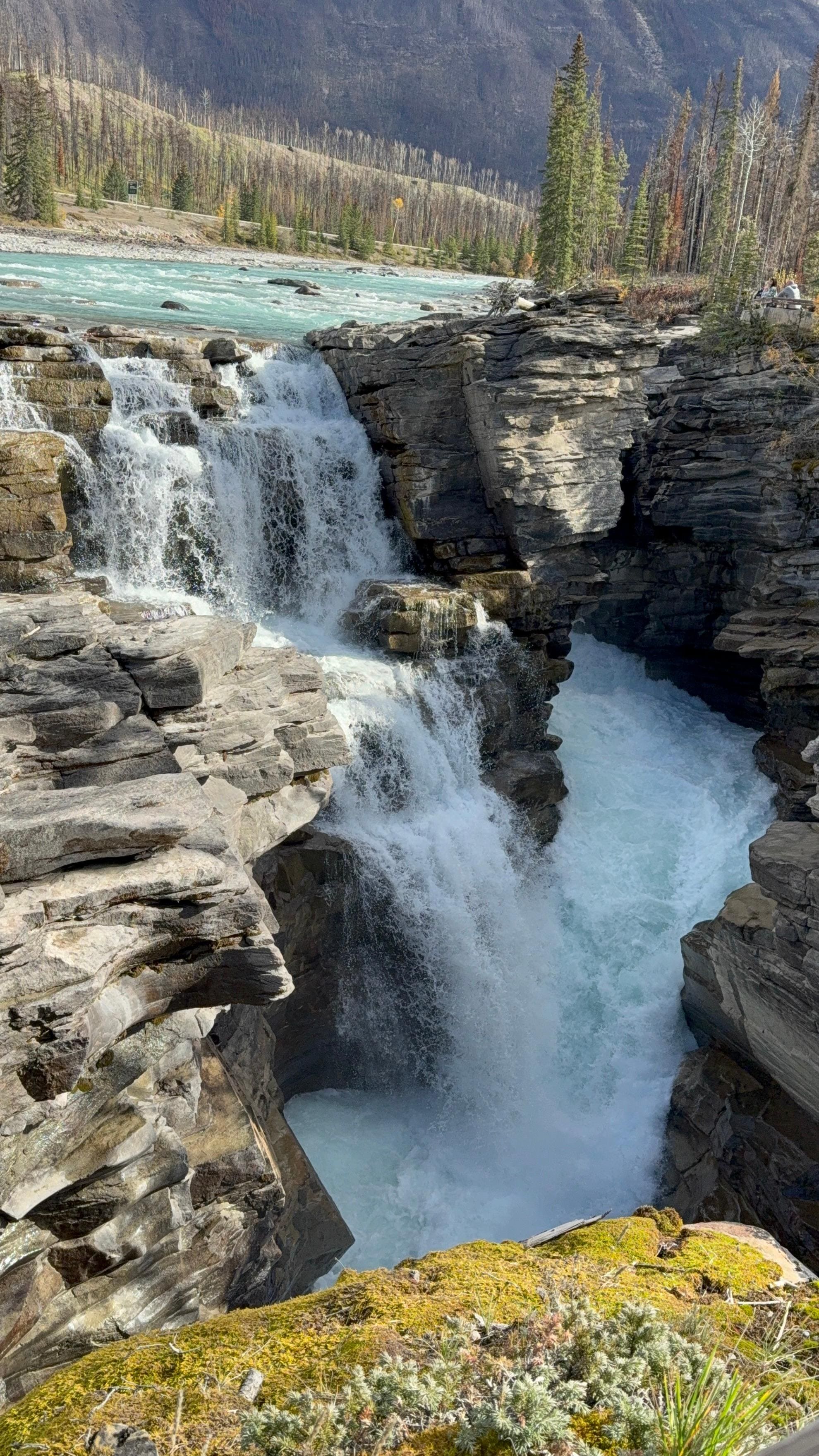 Athabasca Falls 