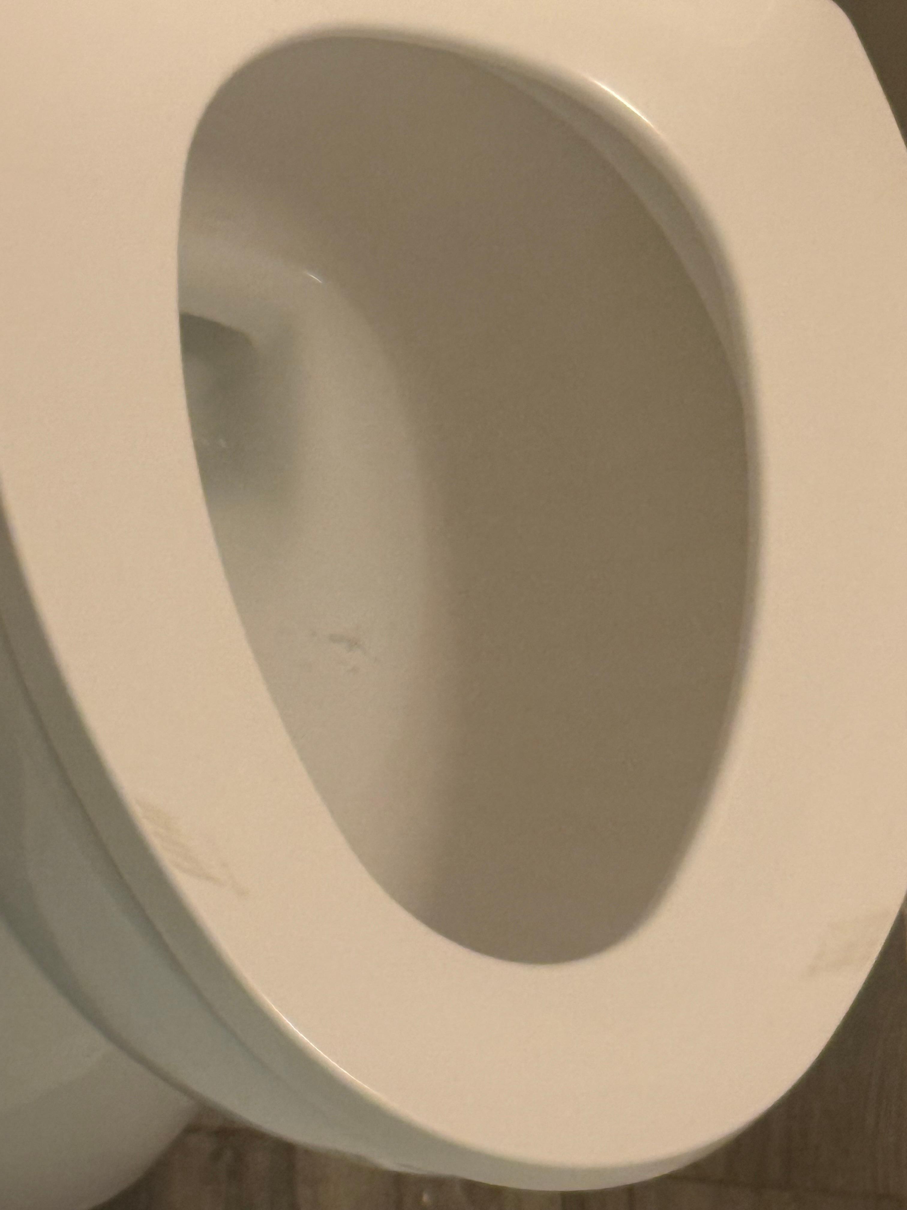 Damage toilet seat