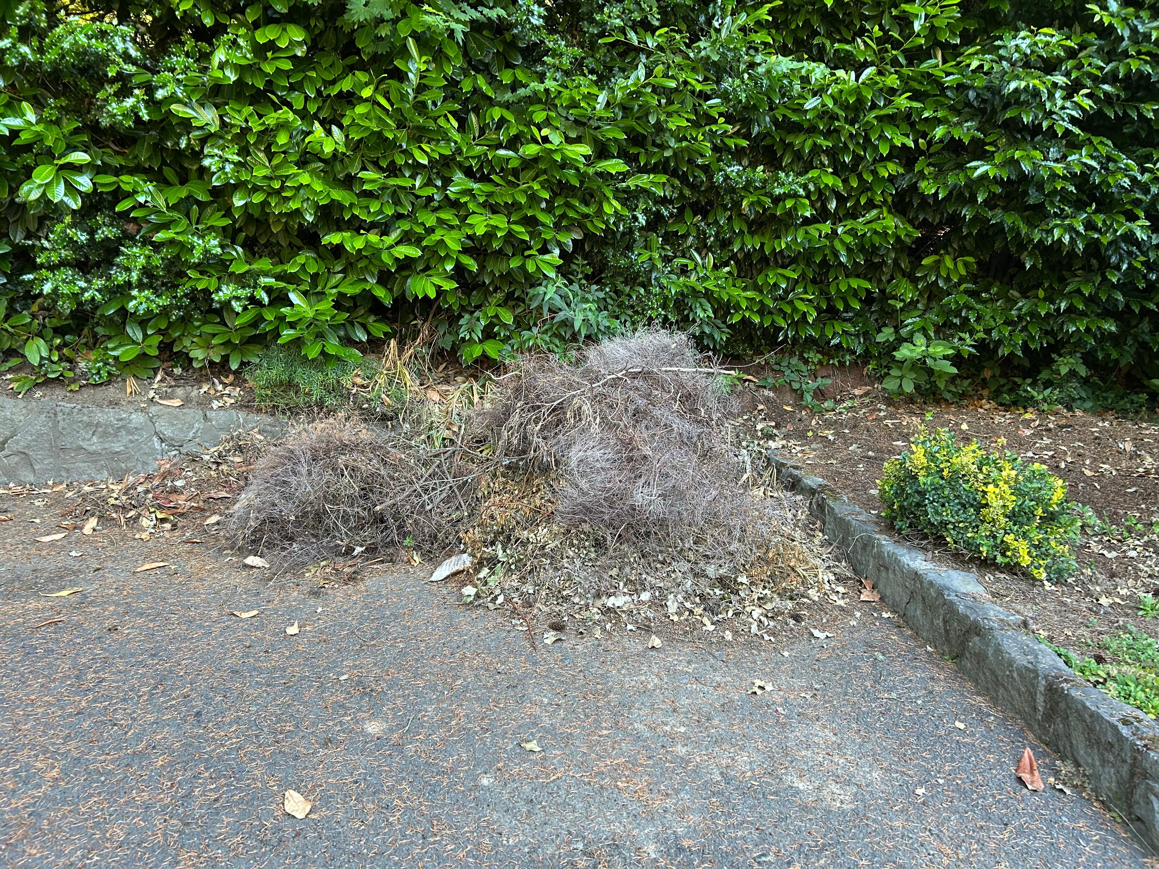Yard debris outside lots of similar things that need to be moved from guest view