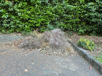 Yard debris outside lots of similar things that need to be moved from guest view